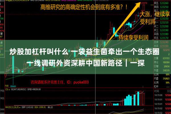 炒股加杠杆叫什么 一袋益生菌牵出一个生态圈 一线调研外资深耕中国新路径︱一探